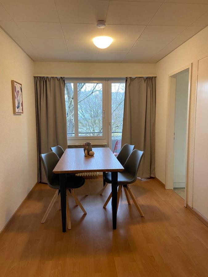 Comfort 1 And 2Bdr Apartment Close To Zurich Airport Exteriér fotografie
